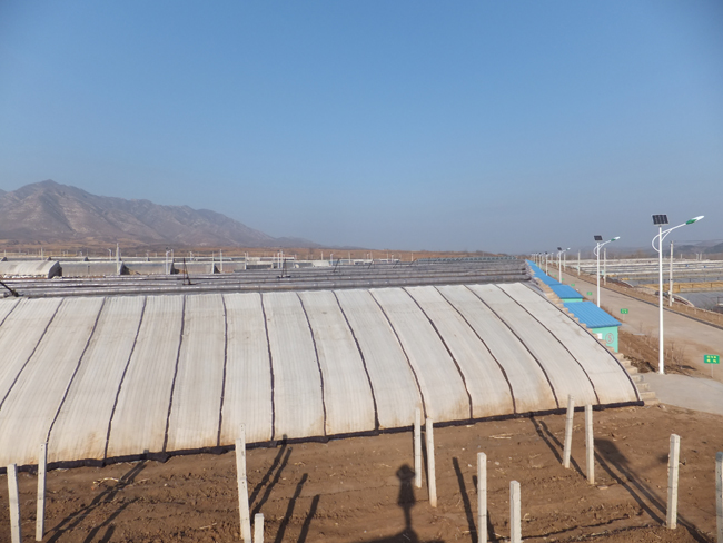園區(qū)